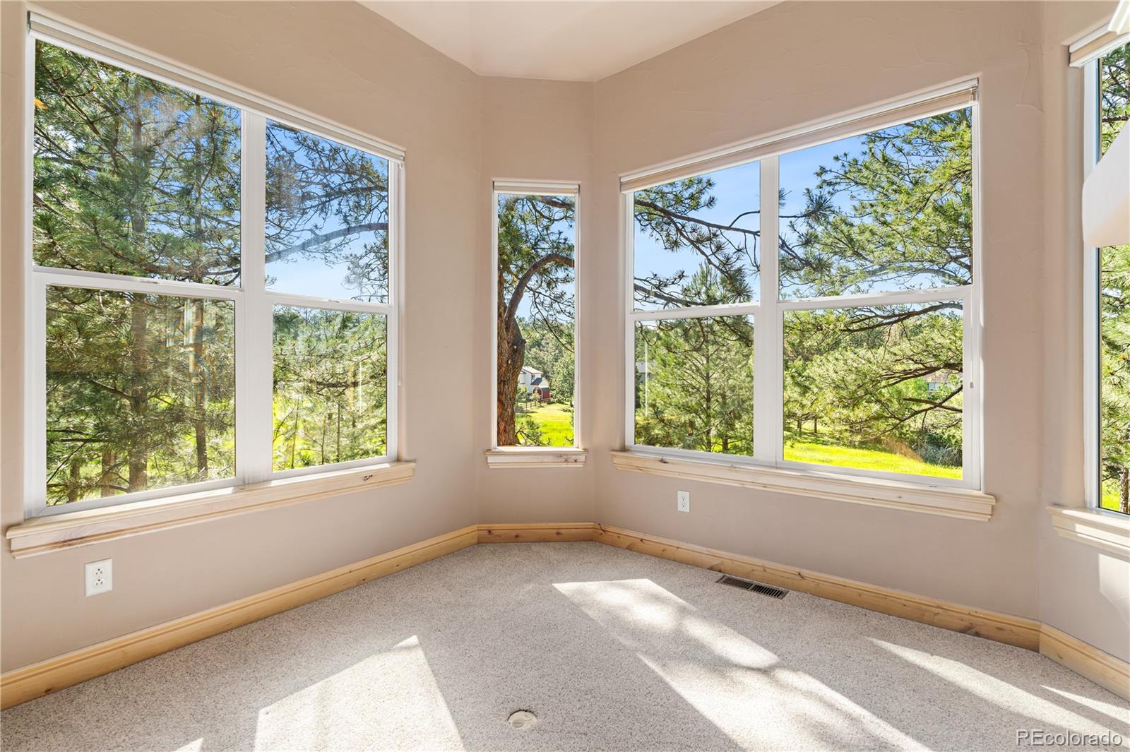 MLS Image #31 for 691  cumberland road,larkspur, Colorado