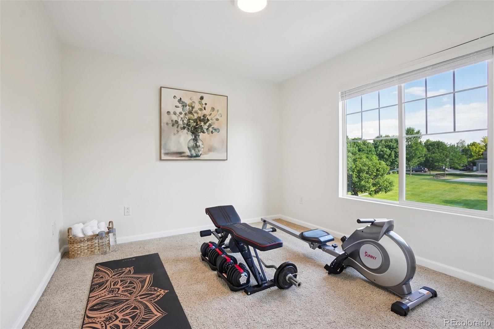 MLS Image #28 for 4118  arezzo drive,longmont, Colorado