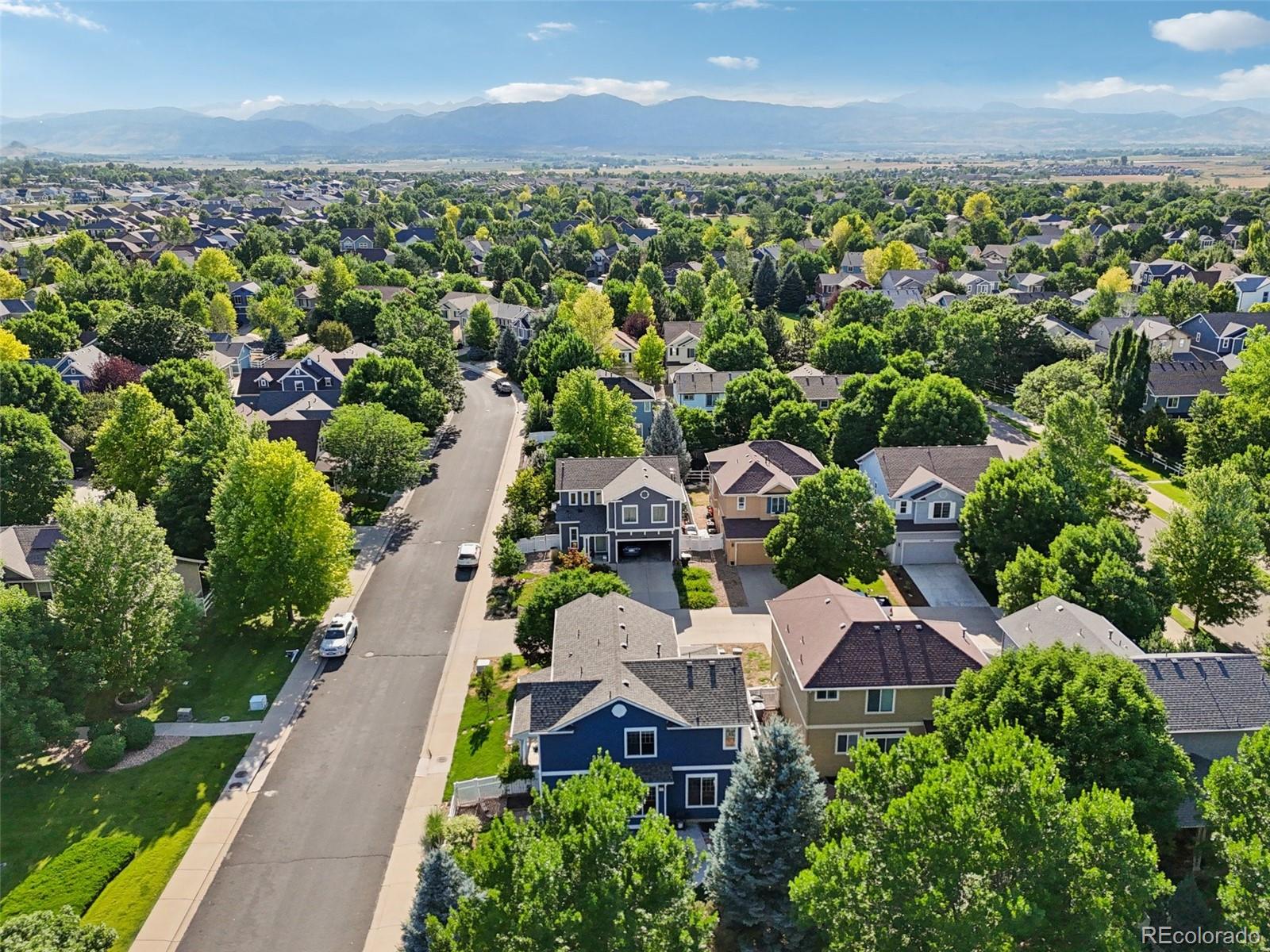 MLS Image #45 for 4118  arezzo drive,longmont, Colorado