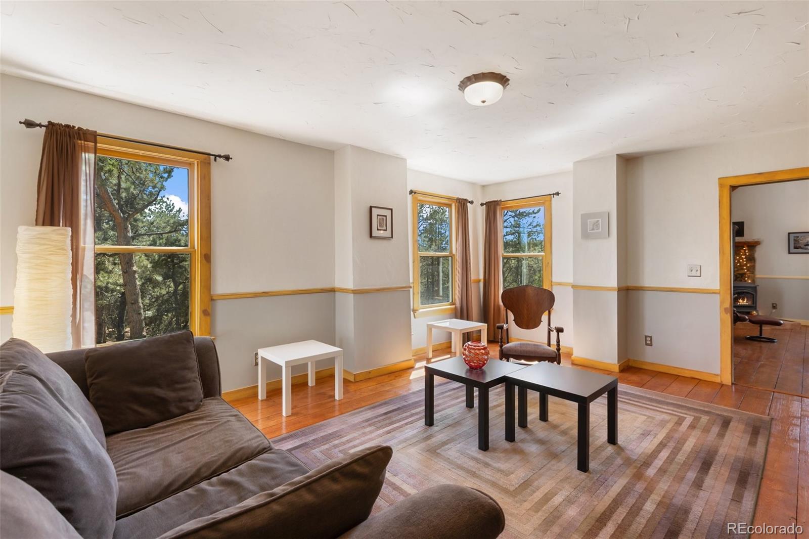 MLS Image #16 for 34  piute circle,florissant, Colorado