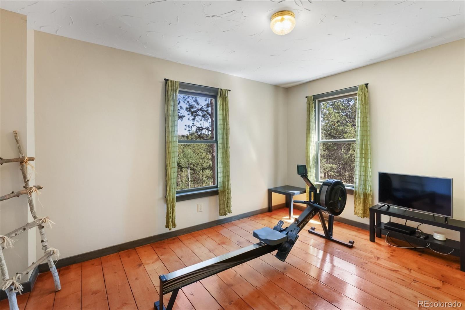 MLS Image #19 for 34  piute circle,florissant, Colorado