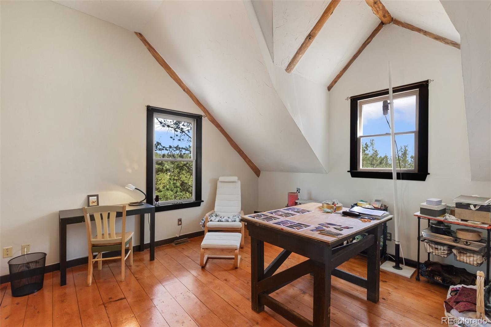 MLS Image #28 for 34  piute circle,florissant, Colorado