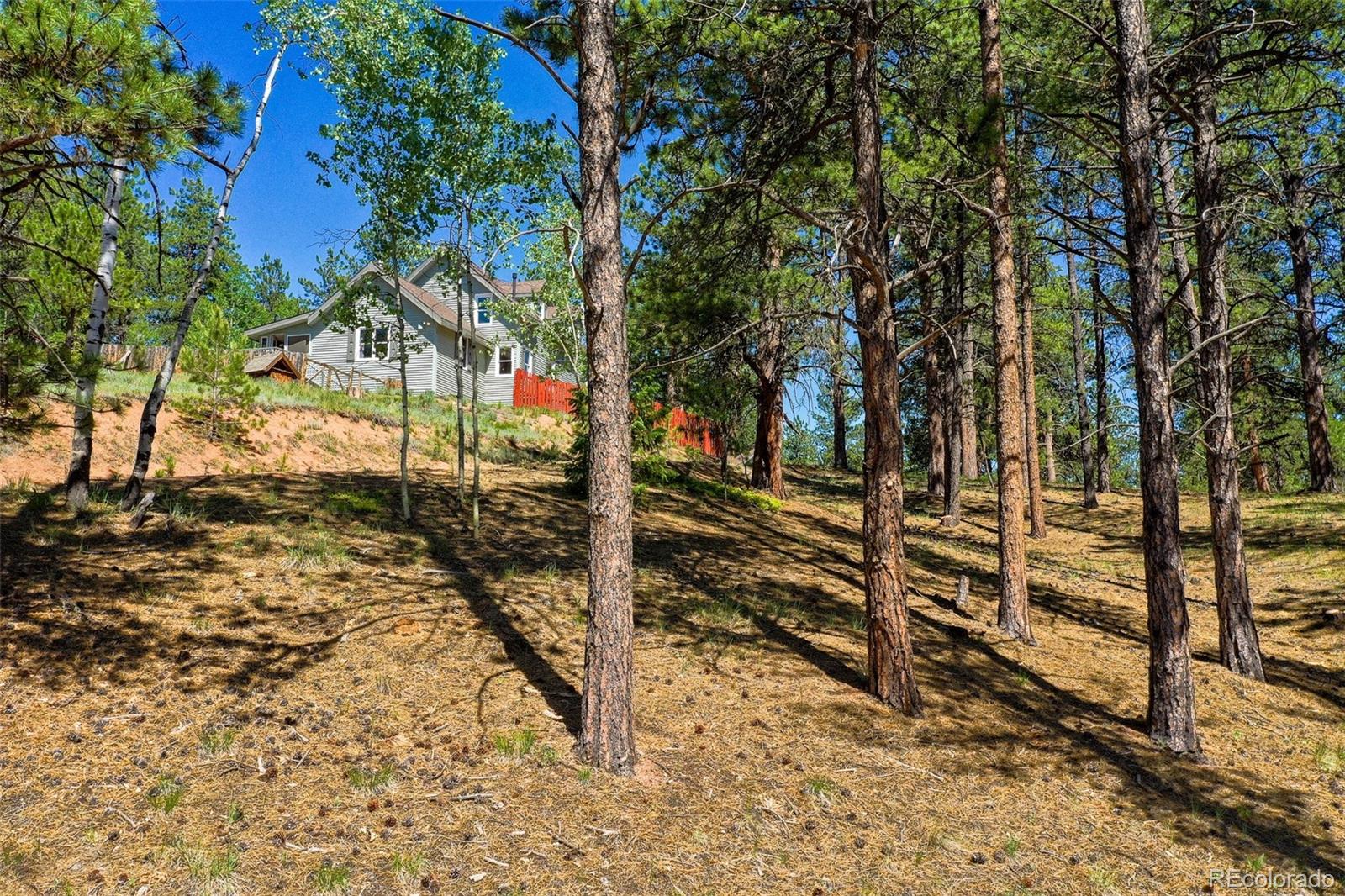 MLS Image #3 for 34  piute circle,florissant, Colorado