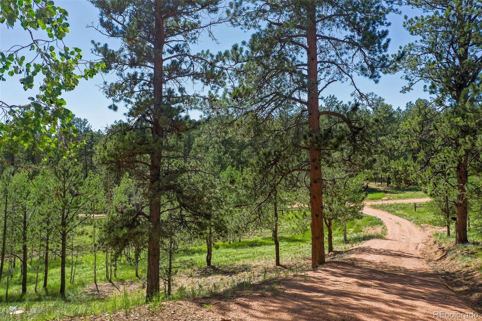 MLS Image #47 for 34  piute circle,florissant, Colorado