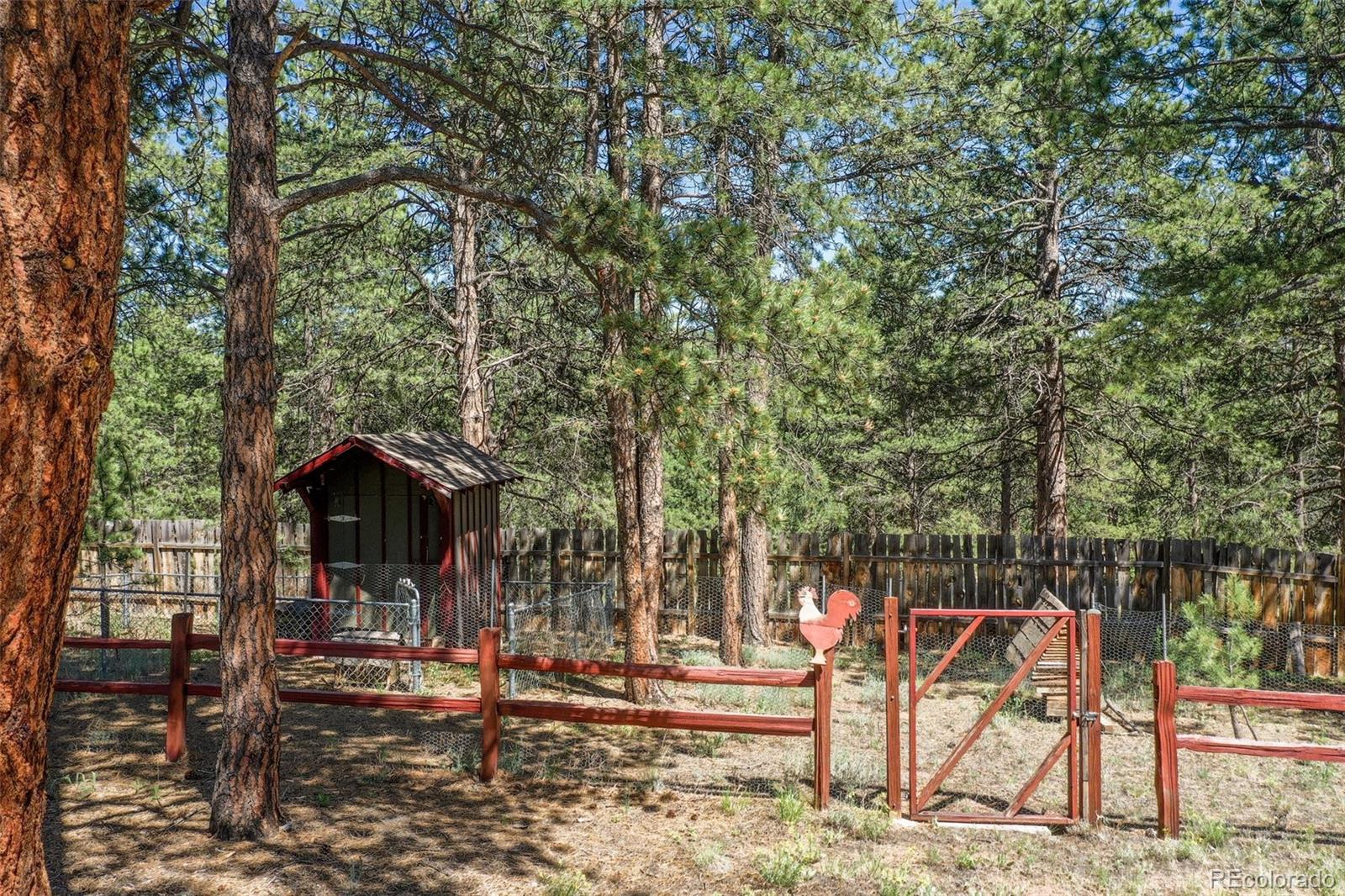 MLS Image #6 for 34  piute circle,florissant, Colorado