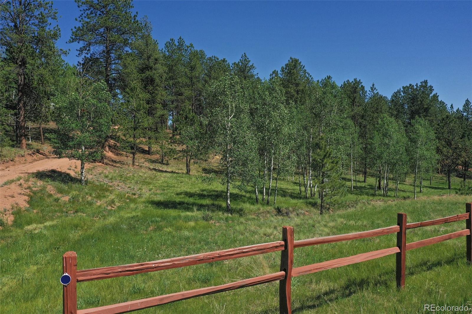 MLS Image #8 for 34  piute circle,florissant, Colorado