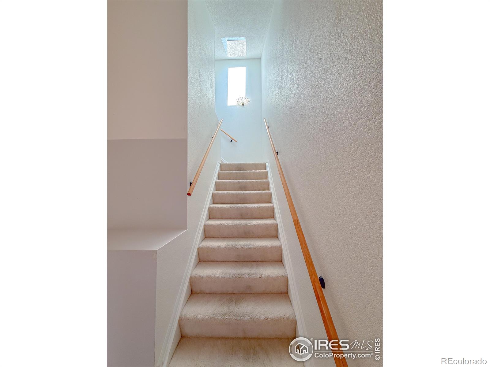 MLS Image #12 for 154  blue spruce court,highlands ranch, Colorado