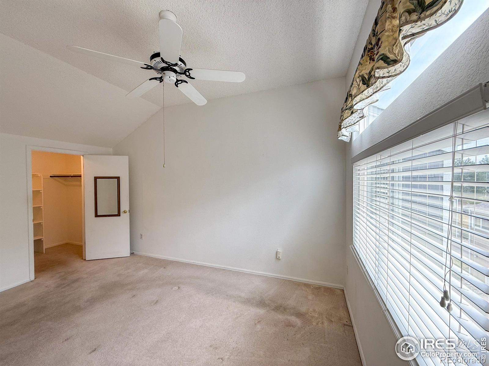 MLS Image #15 for 154  blue spruce court,highlands ranch, Colorado