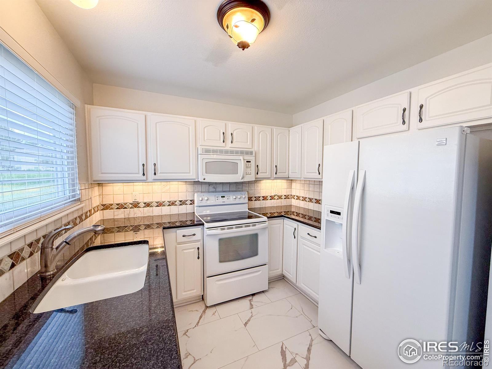 MLS Image #8 for 154  blue spruce court,highlands ranch, Colorado