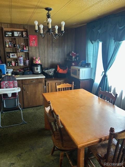 MLS Image #3 for 270  grand avenue,del norte, Colorado