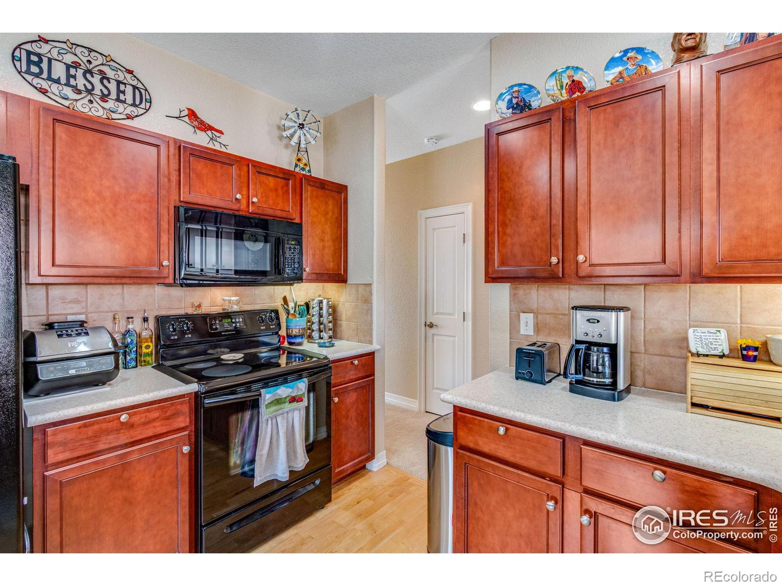 MLS Image #12 for 1238  inca dove circle,loveland, Colorado