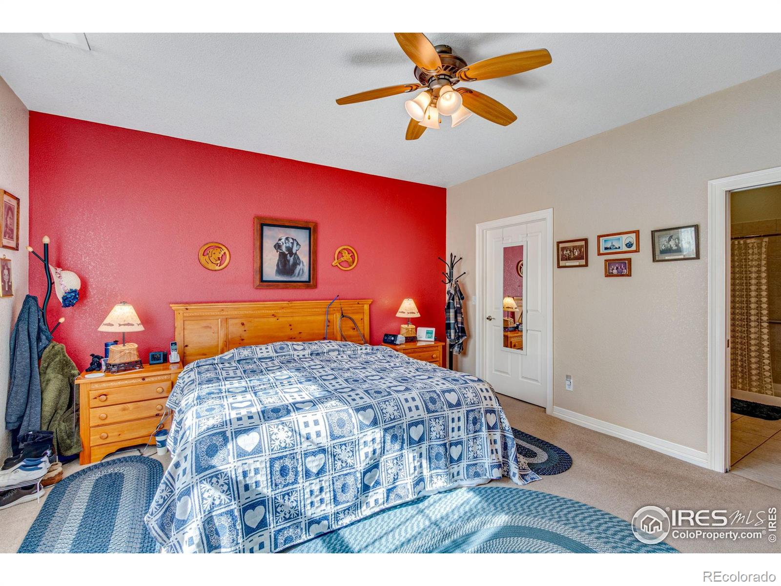 MLS Image #17 for 1238  inca dove circle,loveland, Colorado