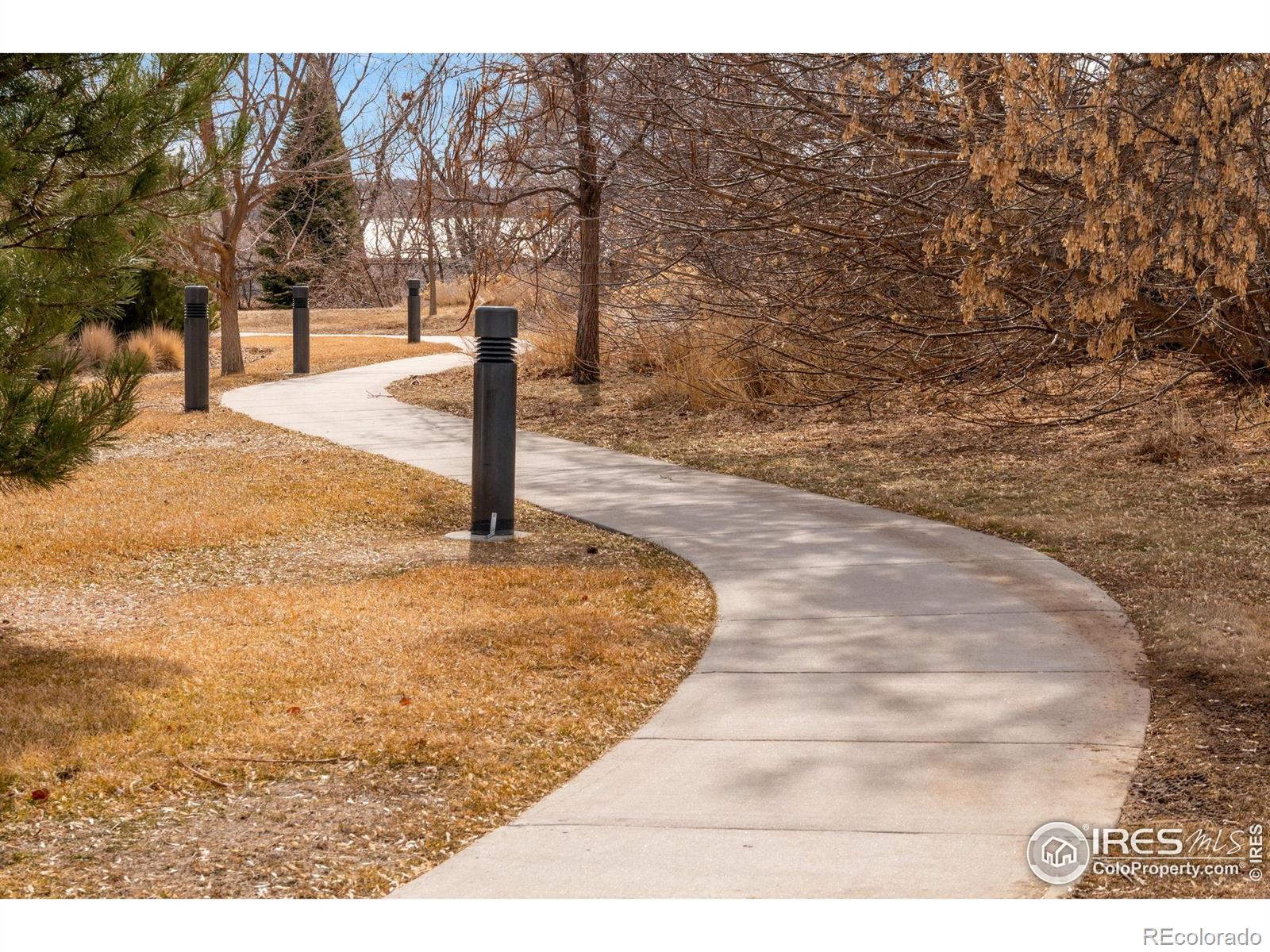 MLS Image #27 for 1238  inca dove circle,loveland, Colorado