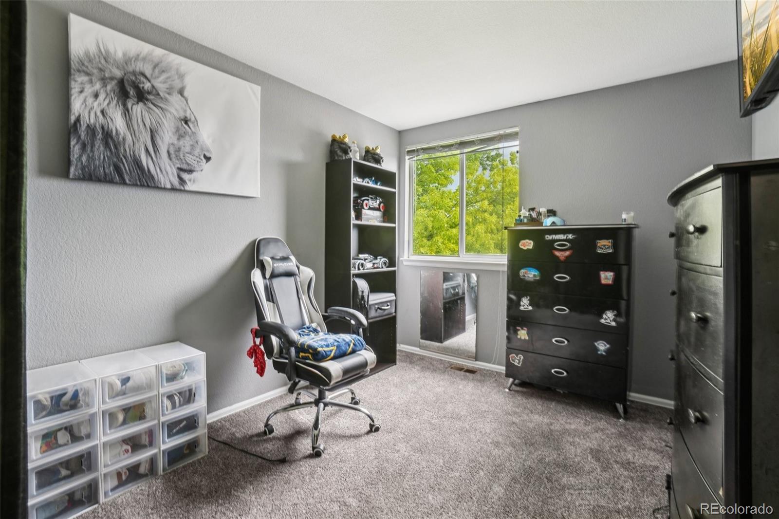 MLS Image #26 for 2427  cherry circle,brighton, Colorado