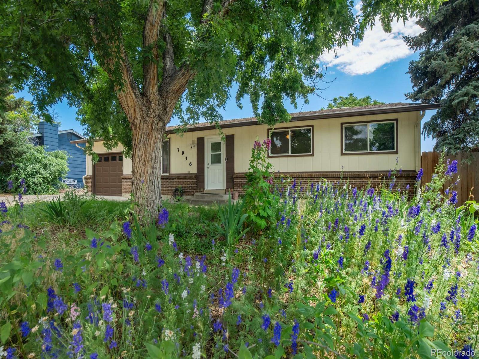 CMA Image for 7936  Eaton Street,Arvada, Colorado