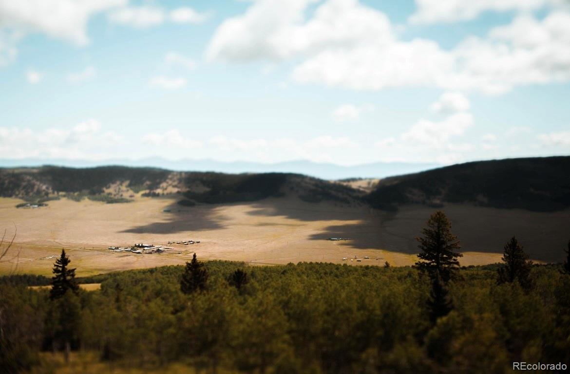 MLS Image #0 for 24870  us hwy 285 ,fairplay, Colorado