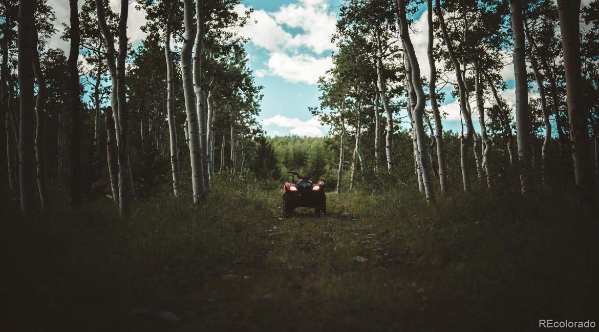 MLS Image #10 for 24870  us hwy 285 ,fairplay, Colorado