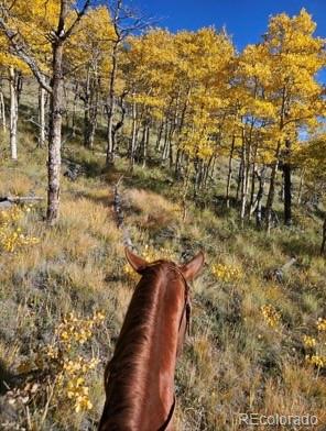 MLS Image #12 for 24870  us hwy 285 ,fairplay, Colorado