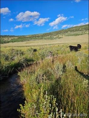 MLS Image #15 for 24870  us hwy 285 ,fairplay, Colorado
