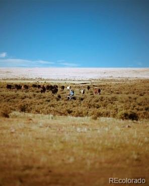 MLS Image #18 for 24870  us hwy 285 ,fairplay, Colorado
