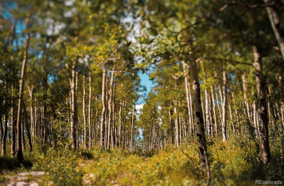 MLS Image #20 for 24870  us hwy 285 ,fairplay, Colorado