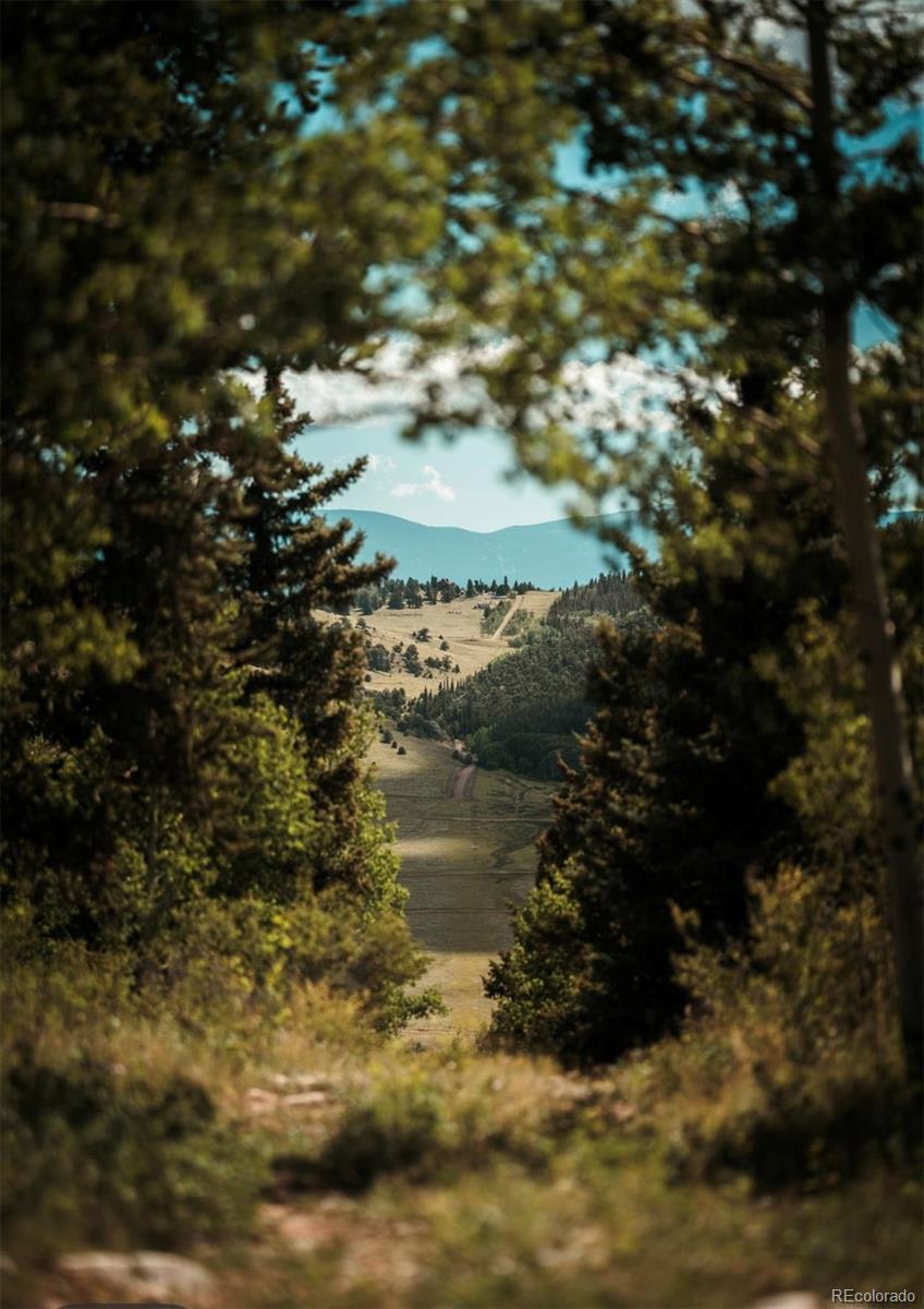 MLS Image #21 for 24870  us hwy 285 ,fairplay, Colorado