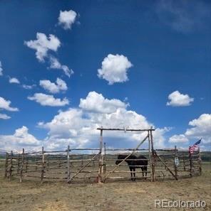 MLS Image #7 for 24870  us hwy 285 ,fairplay, Colorado
