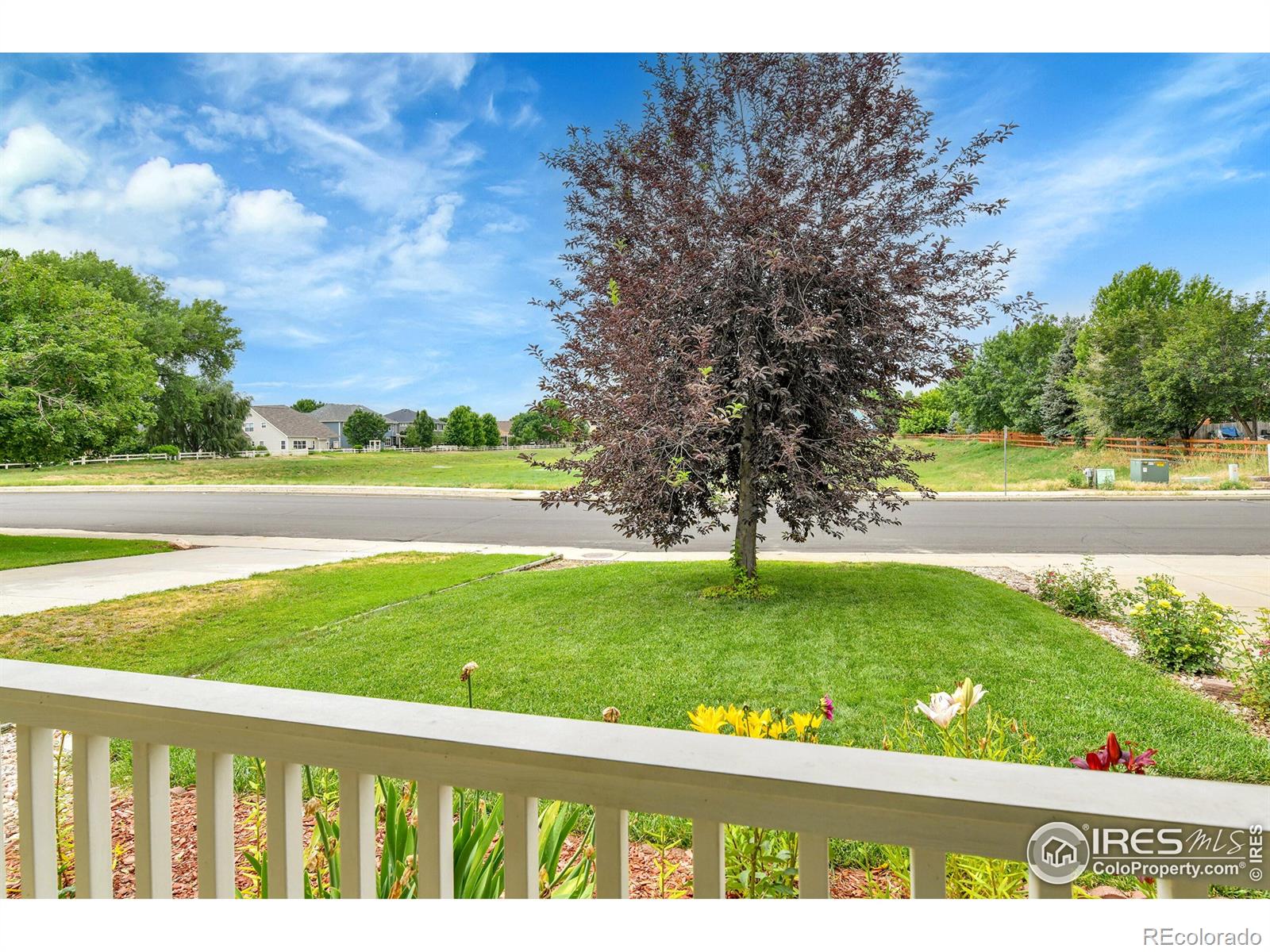MLS Image #2 for 5493  bobcat street,frederick, Colorado