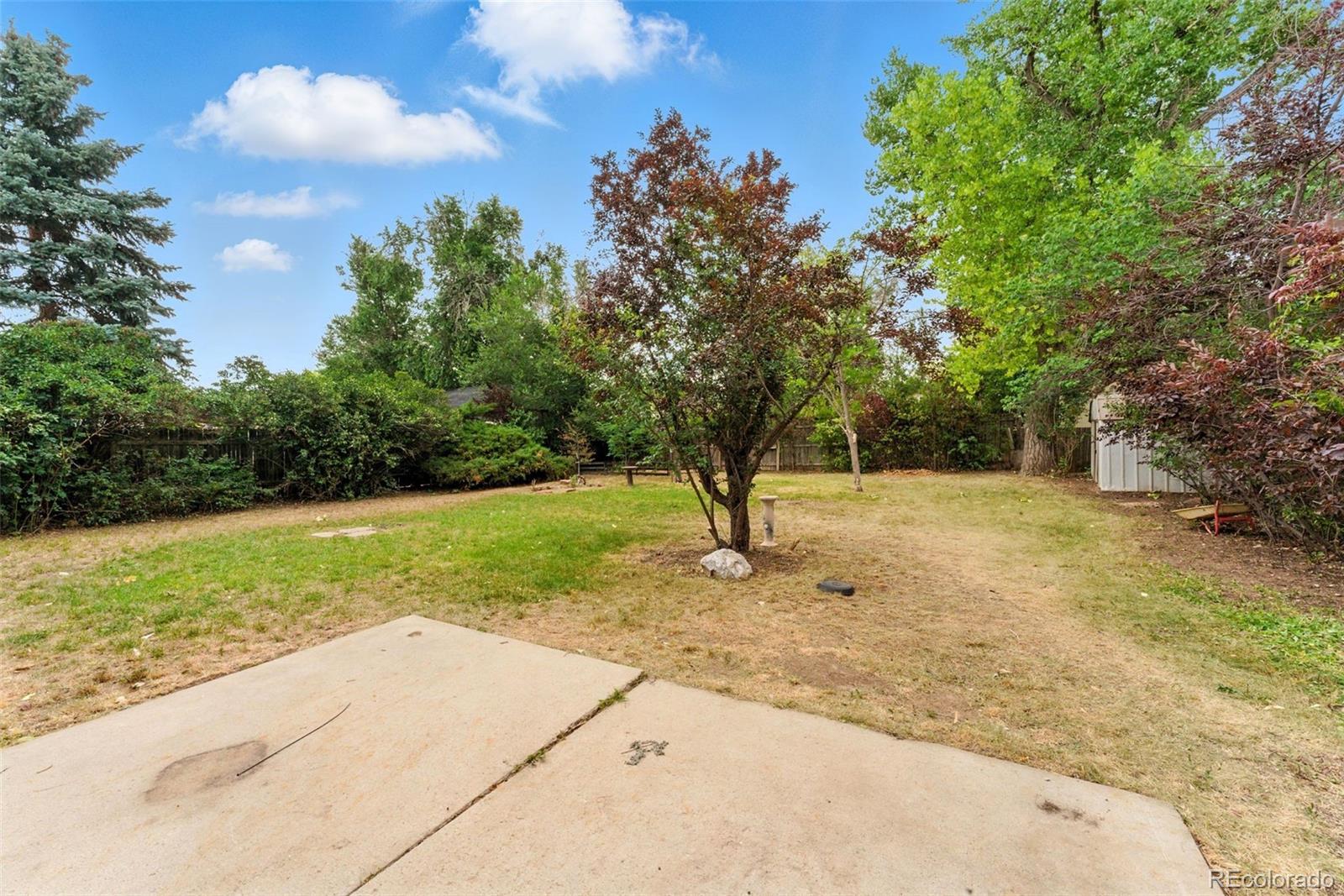 MLS Image #3 for 1534  mount evans drive,longmont, Colorado