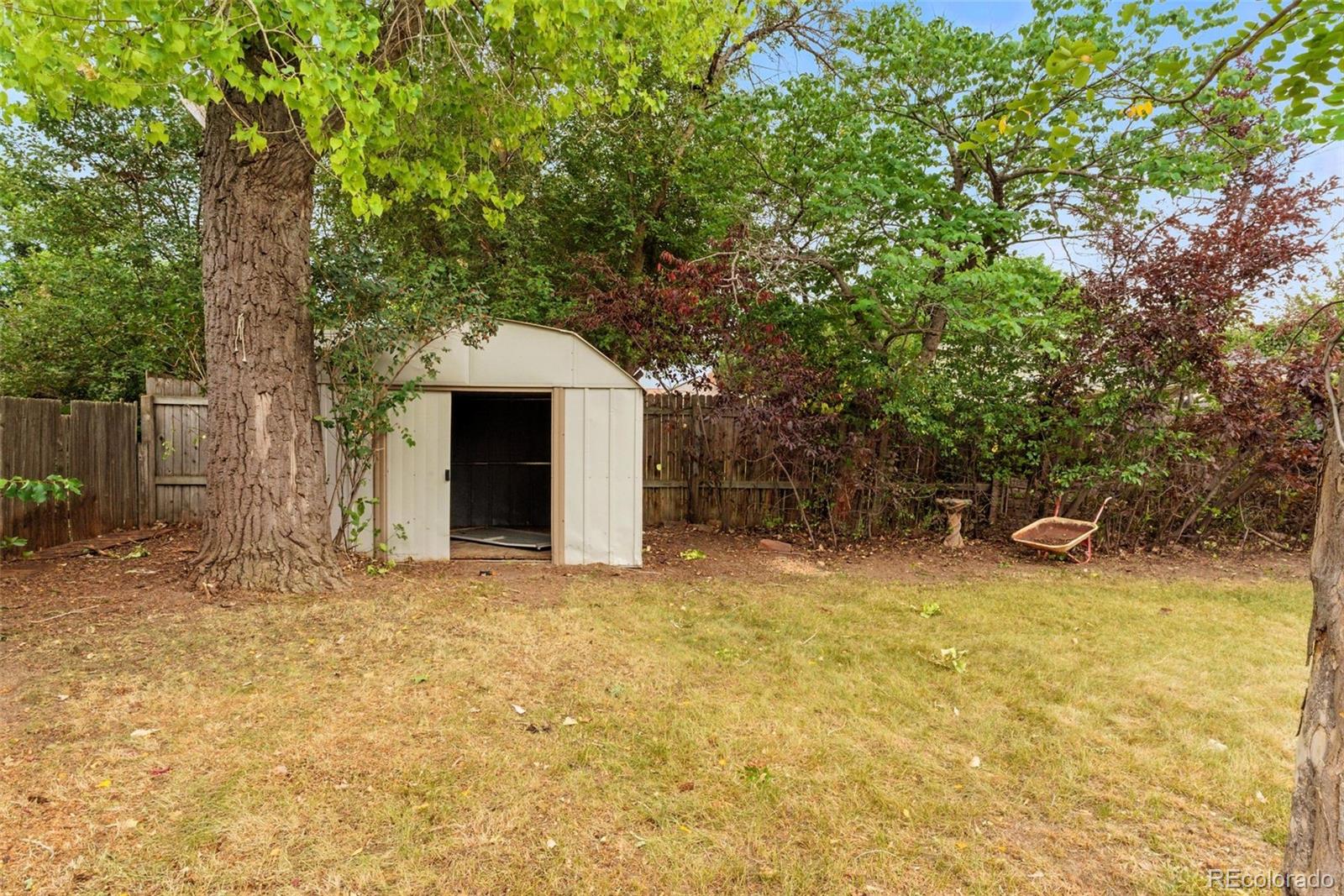 MLS Image #6 for 1534  mount evans drive,longmont, Colorado