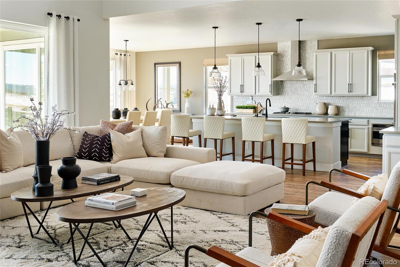 MLS Image #10 for 1694  fox trotter point,castle rock, Colorado