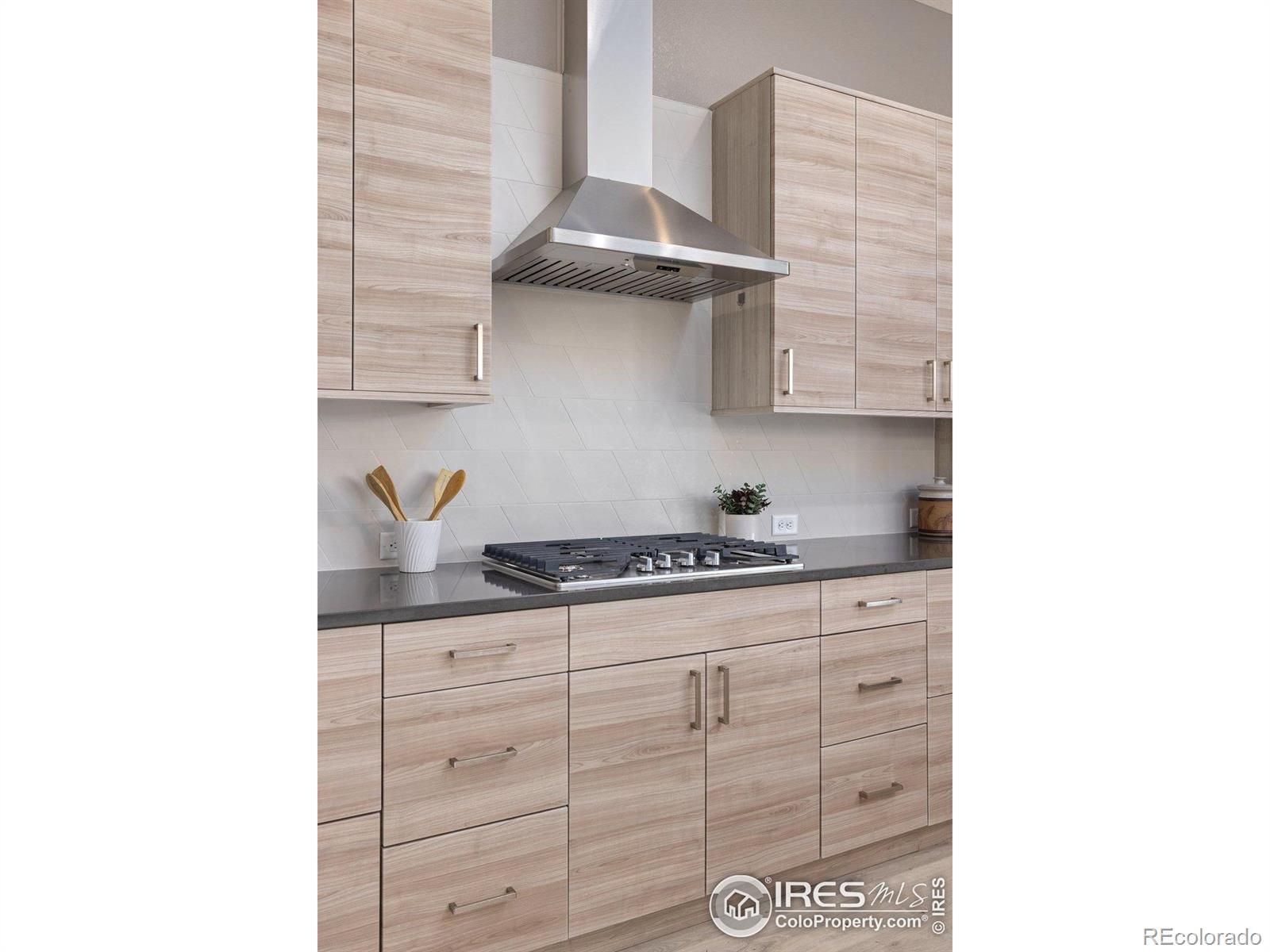 MLS Image #10 for 750  kubat lane,longmont, Colorado