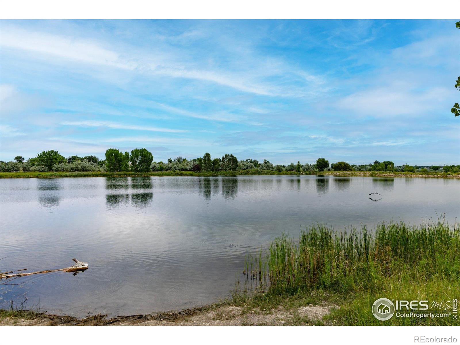 MLS Image #38 for 750  kubat lane,longmont, Colorado