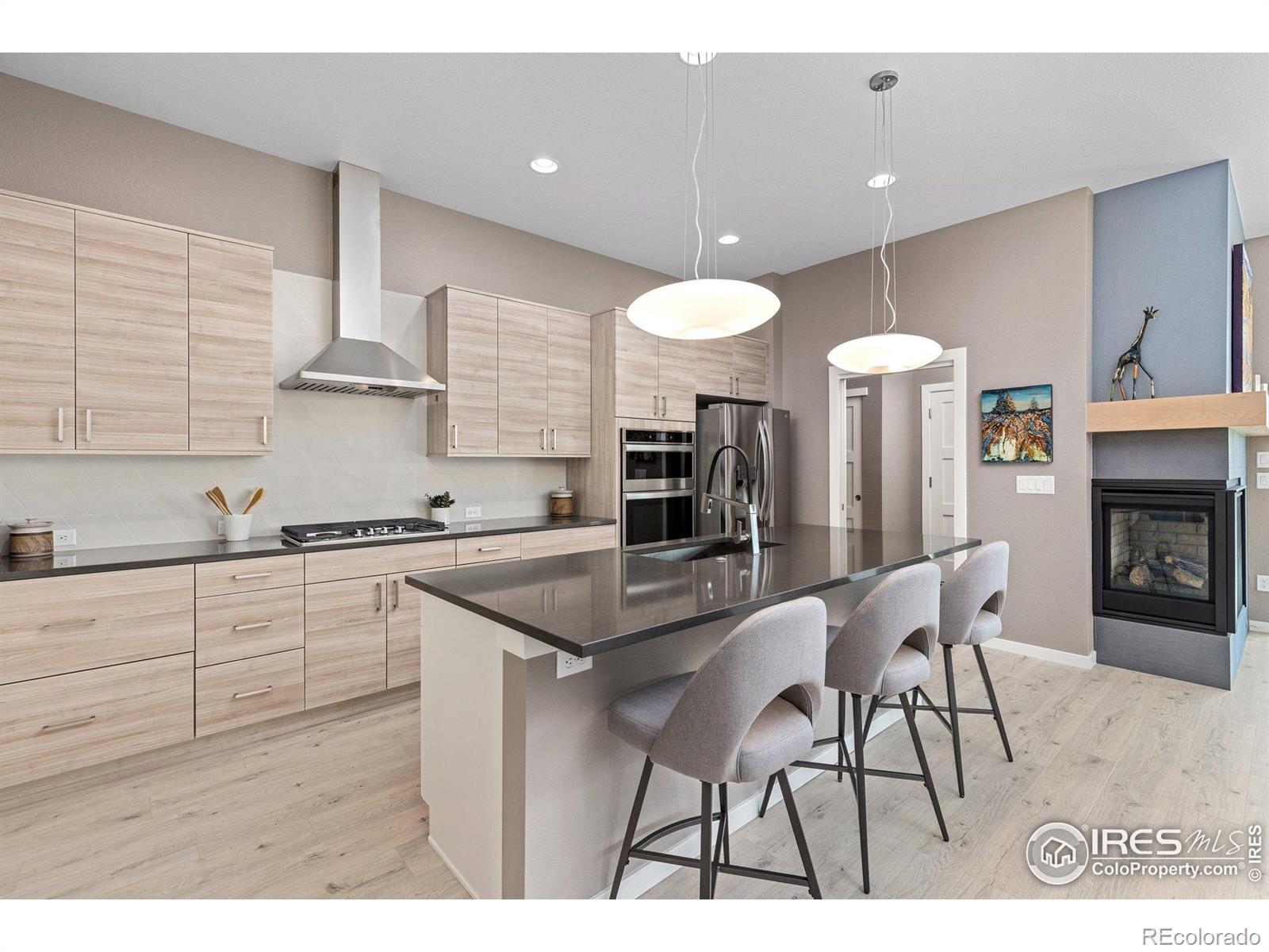 MLS Image #9 for 750  kubat lane,longmont, Colorado