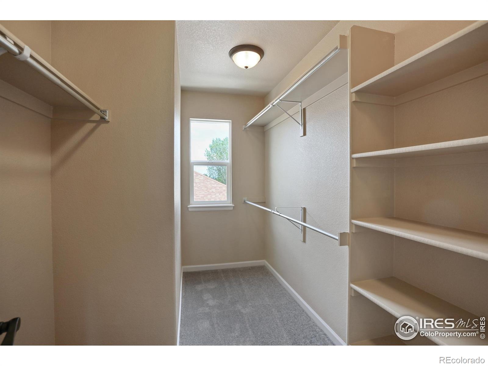 MLS Image #14 for 6392  sea gull circle,loveland, Colorado