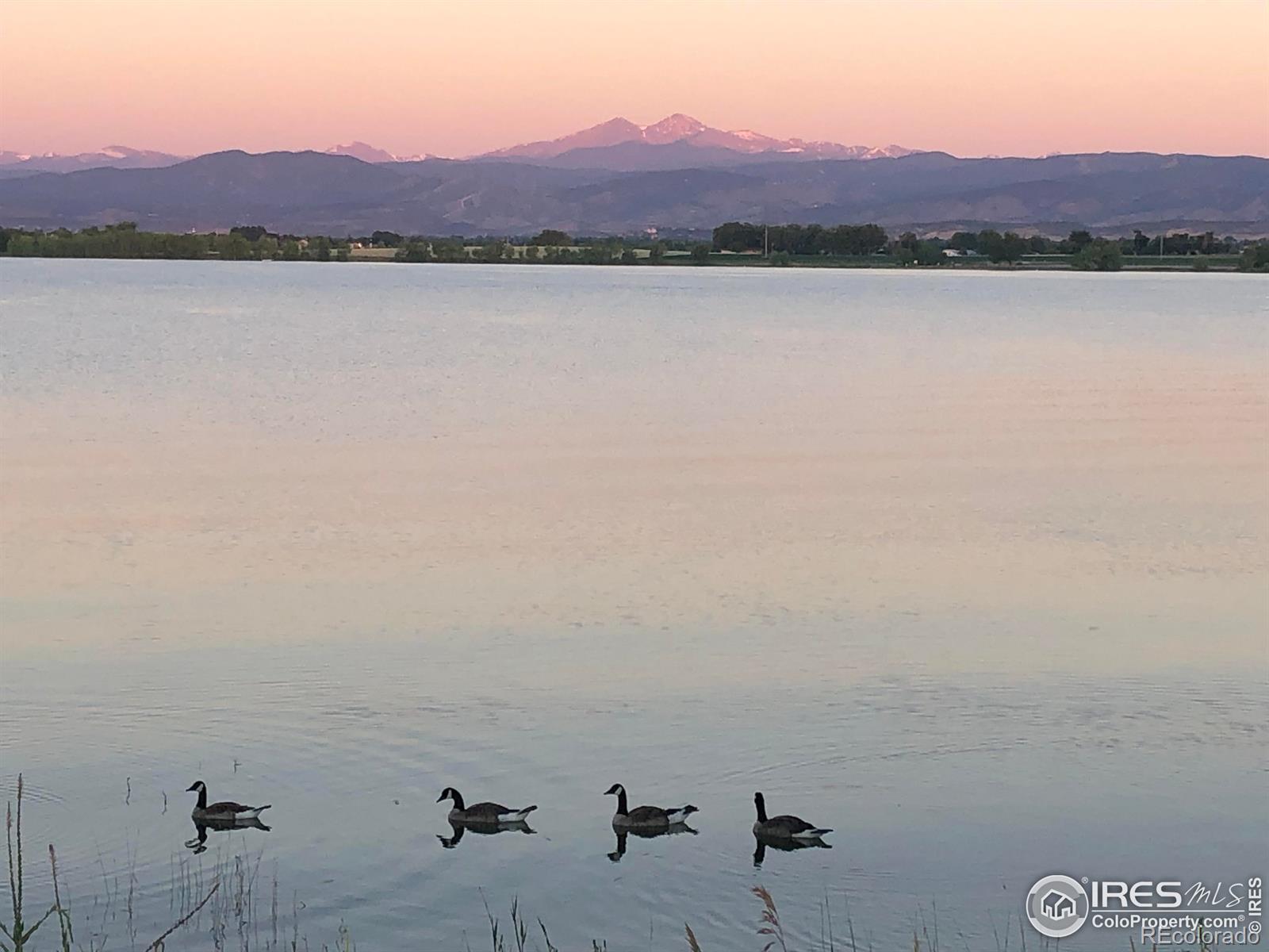 MLS Image #27 for 6392  sea gull circle,loveland, Colorado