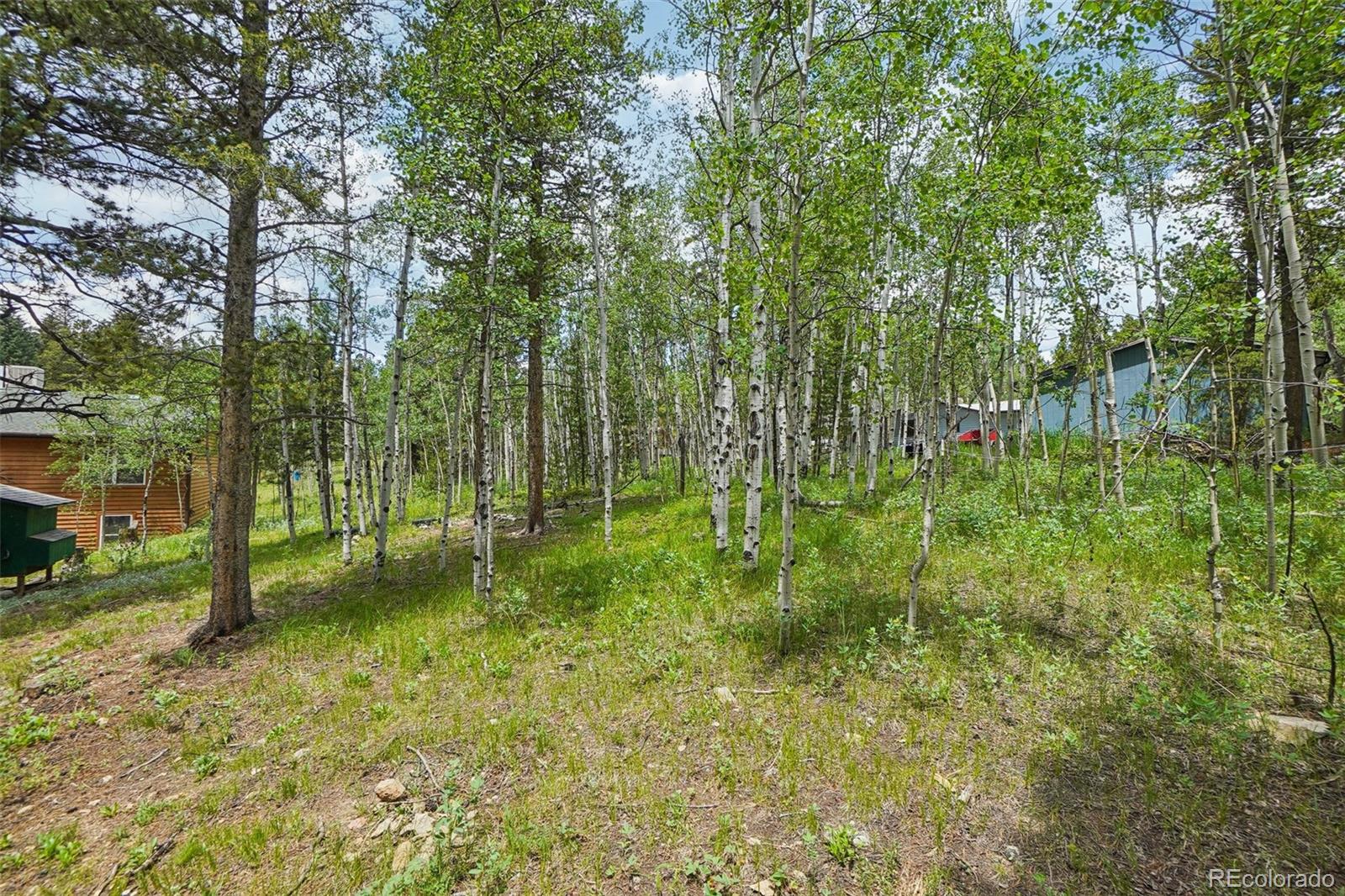 MLS Image #40 for 466  karlann drive,black hawk, Colorado