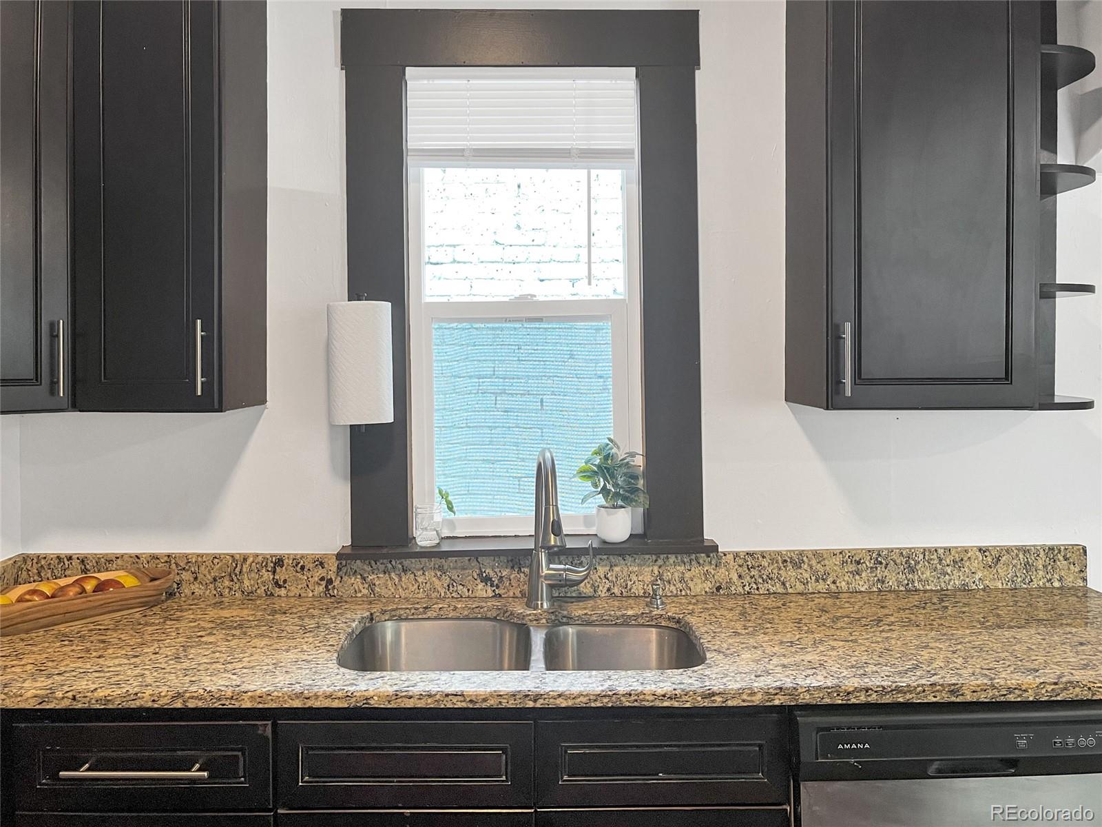 MLS Image #10 for 4432  columbine street,denver, Colorado