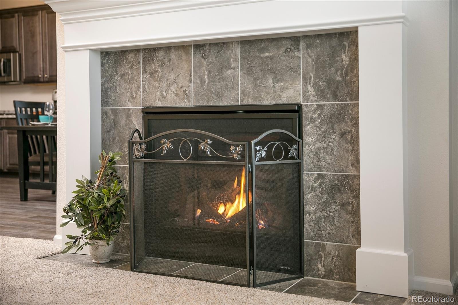 MLS Image #10 for 4722 s netherland street,centennial, Colorado