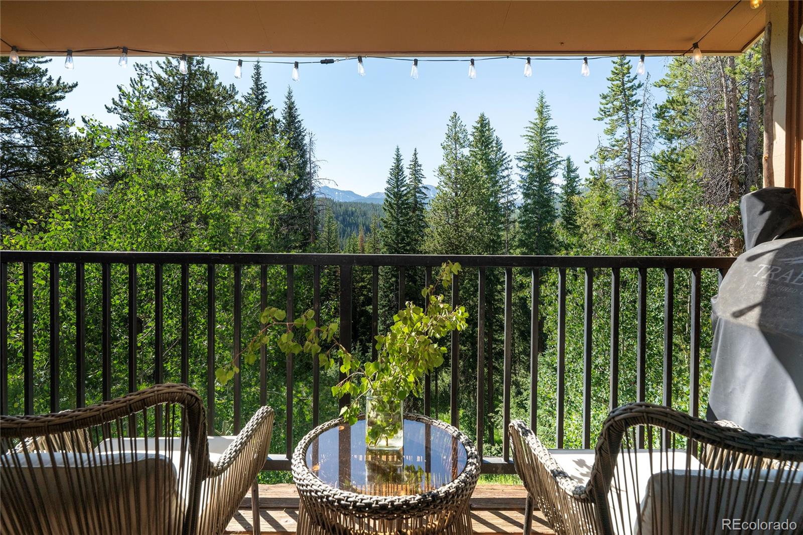 MLS Image #1 for 220  gcr 702 ,winter park, Colorado