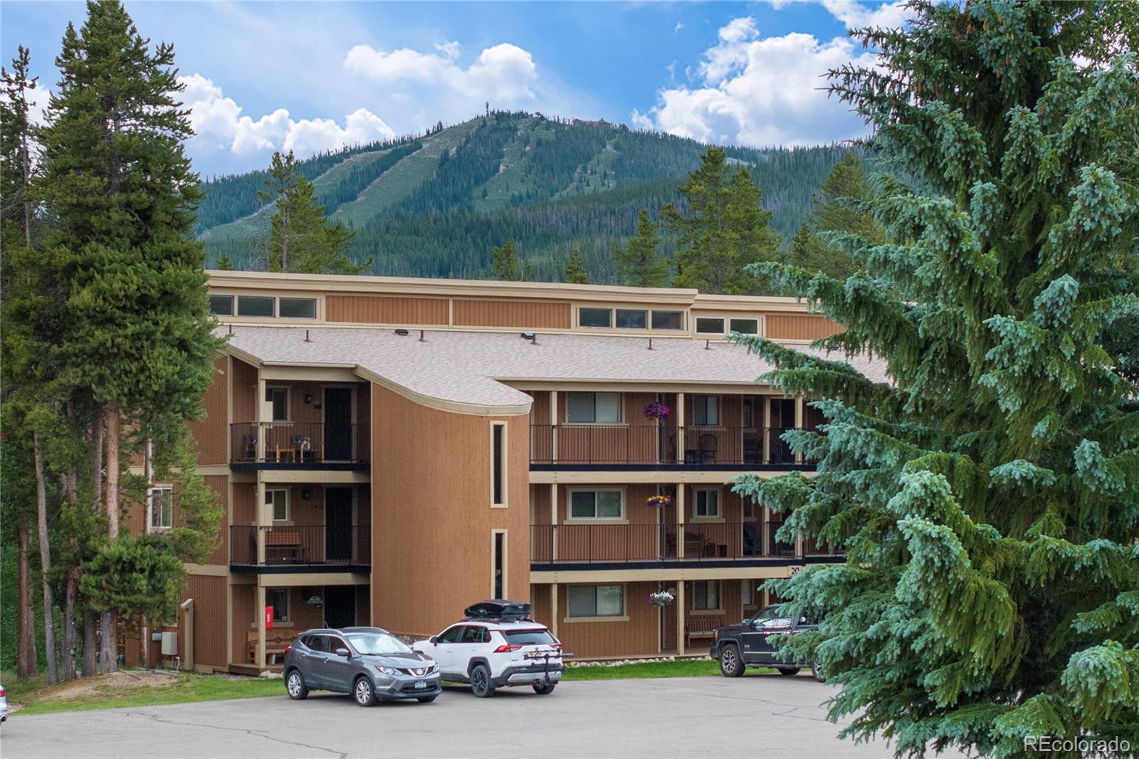 MLS Image #10 for 220  gcr 702 ,winter park, Colorado
