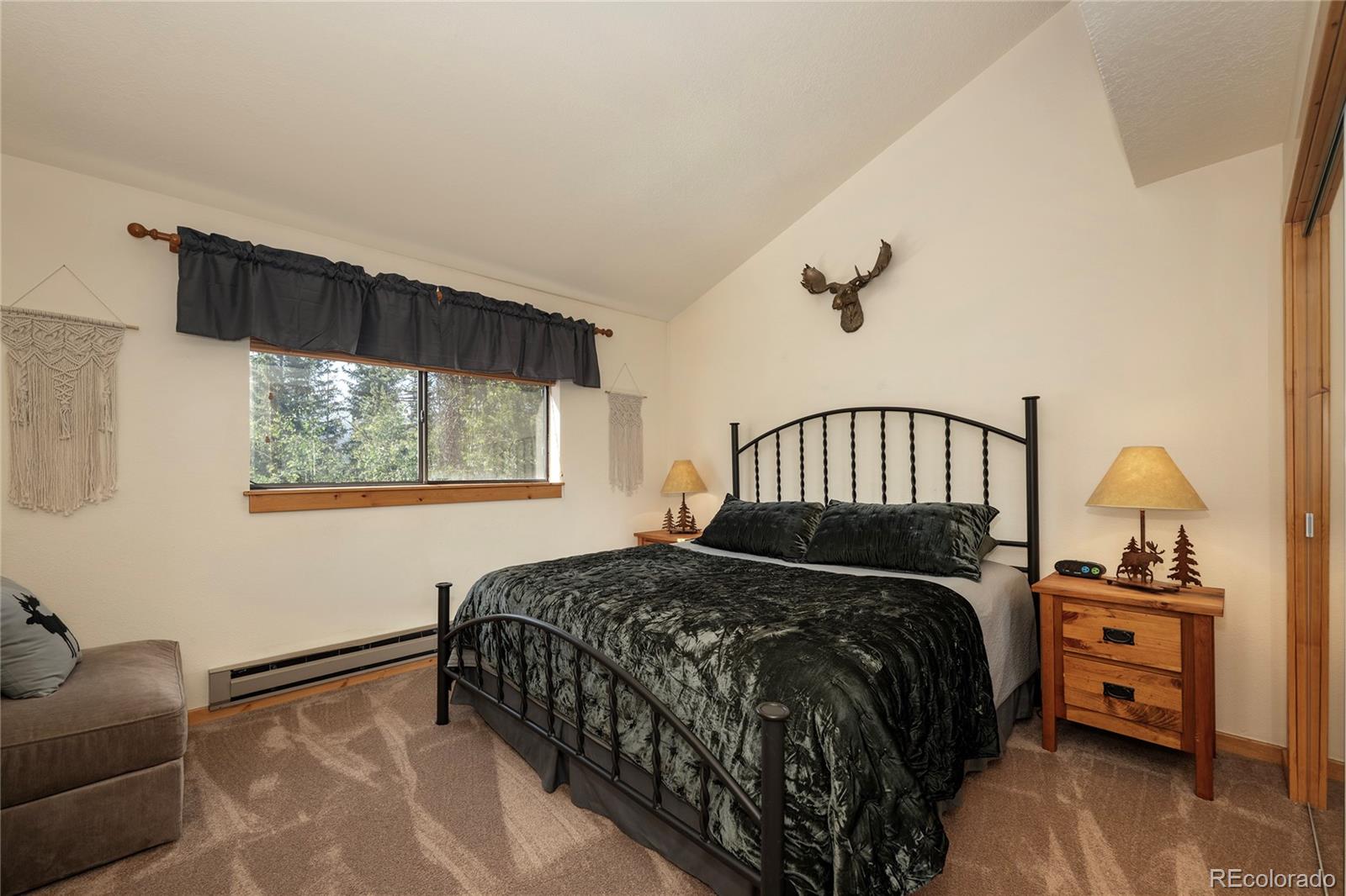 MLS Image #12 for 220  gcr 702 ,winter park, Colorado
