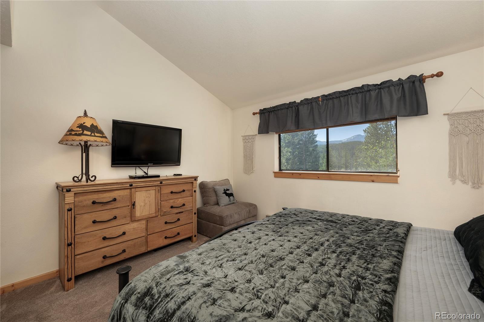 MLS Image #13 for 220  gcr 702 ,winter park, Colorado