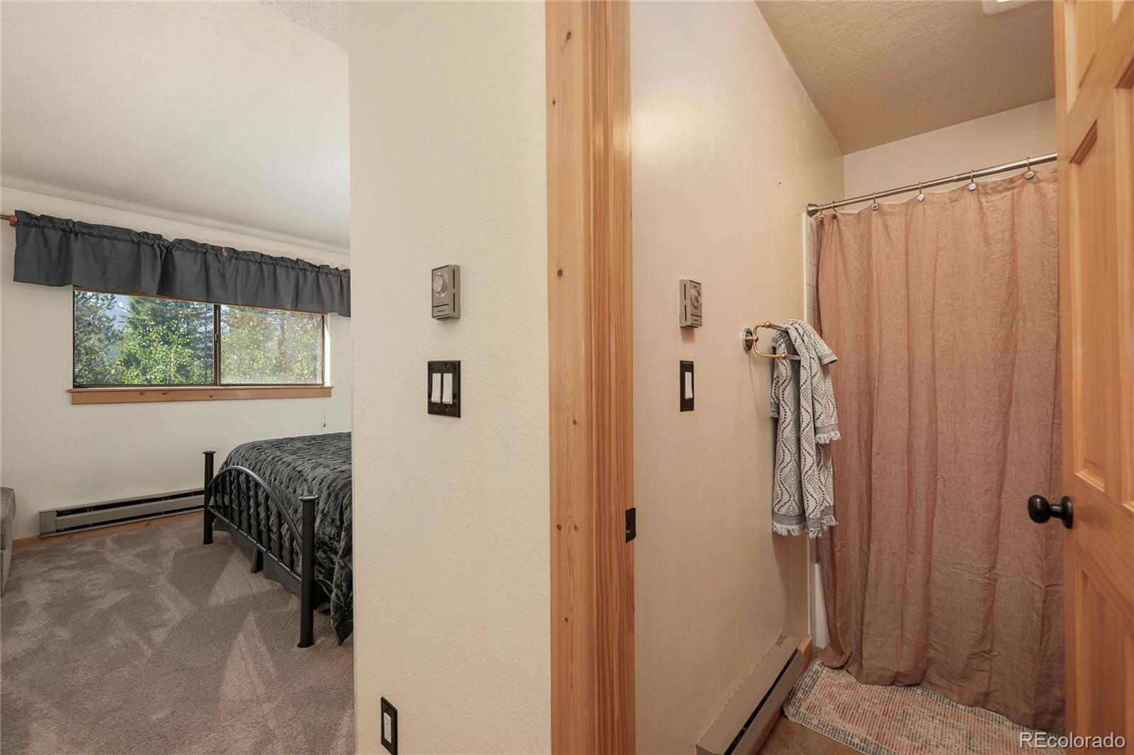 MLS Image #14 for 220  gcr 702 ,winter park, Colorado