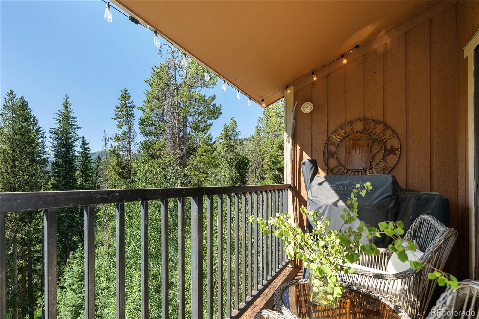 MLS Image #3 for 220  gcr 702 ,winter park, Colorado
