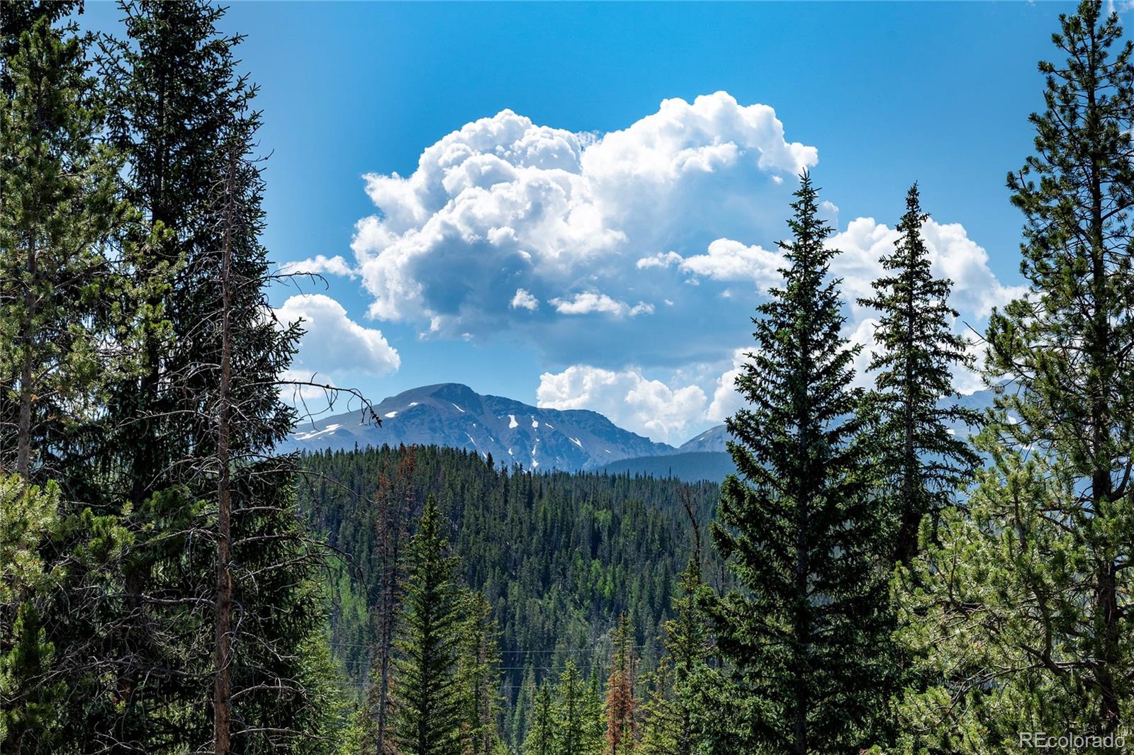 MLS Image #9 for 220  gcr 702 ,winter park, Colorado