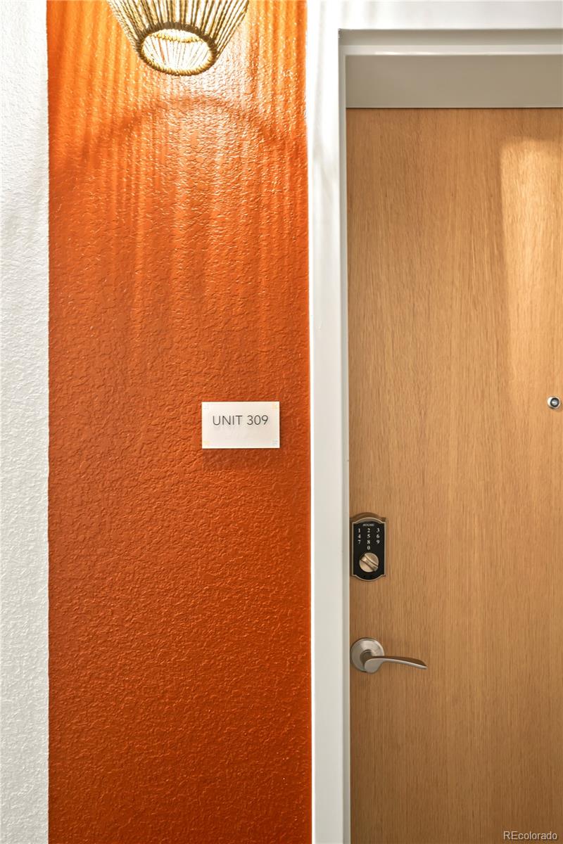 MLS Image #4 for 603  inca street 309,denver, Colorado