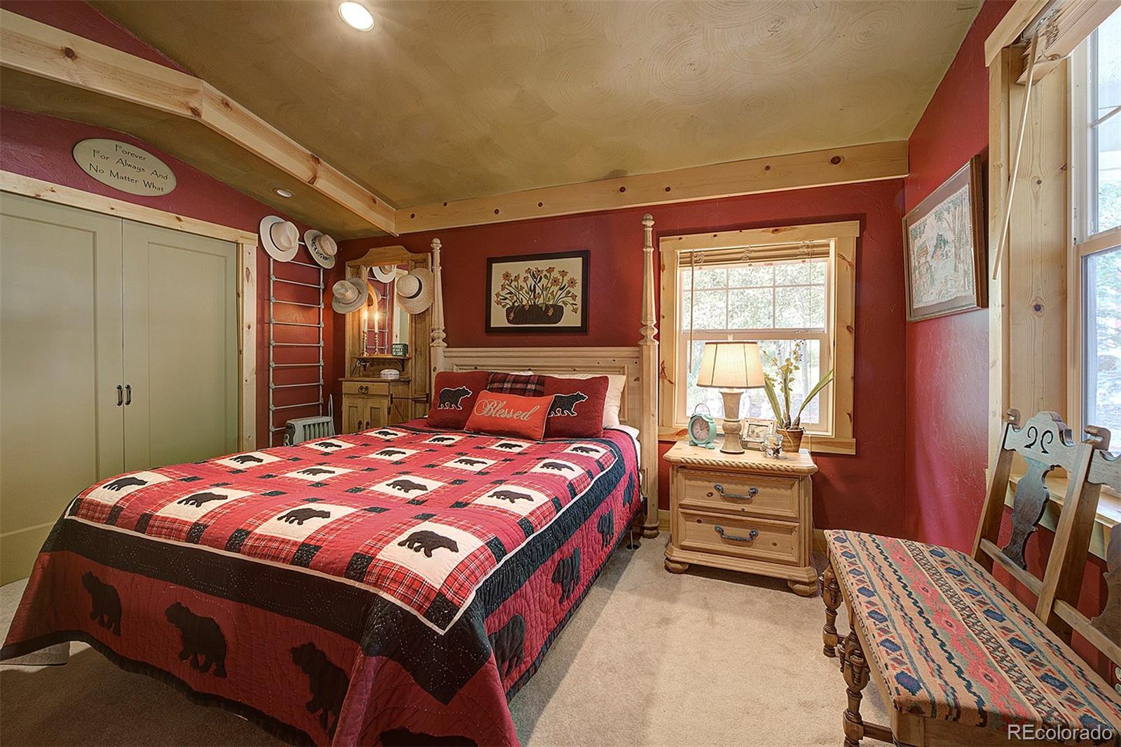 MLS Image #13 for 80  meadow lane,bailey, Colorado