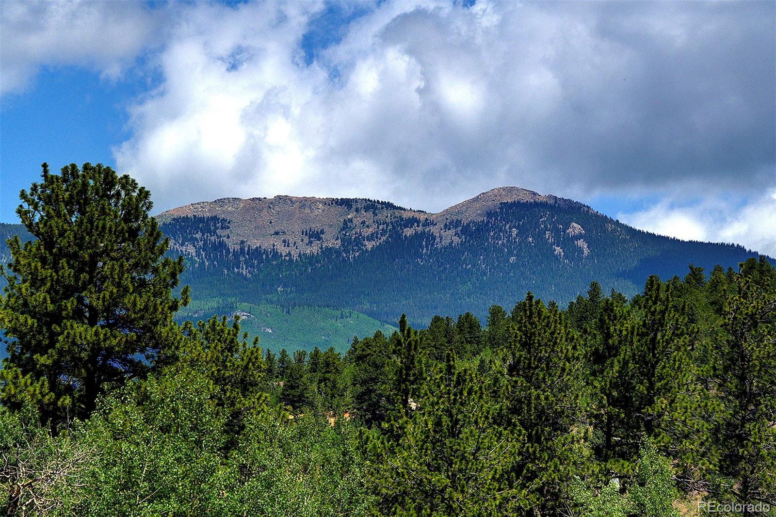 MLS Image #44 for 80  meadow lane,bailey, Colorado