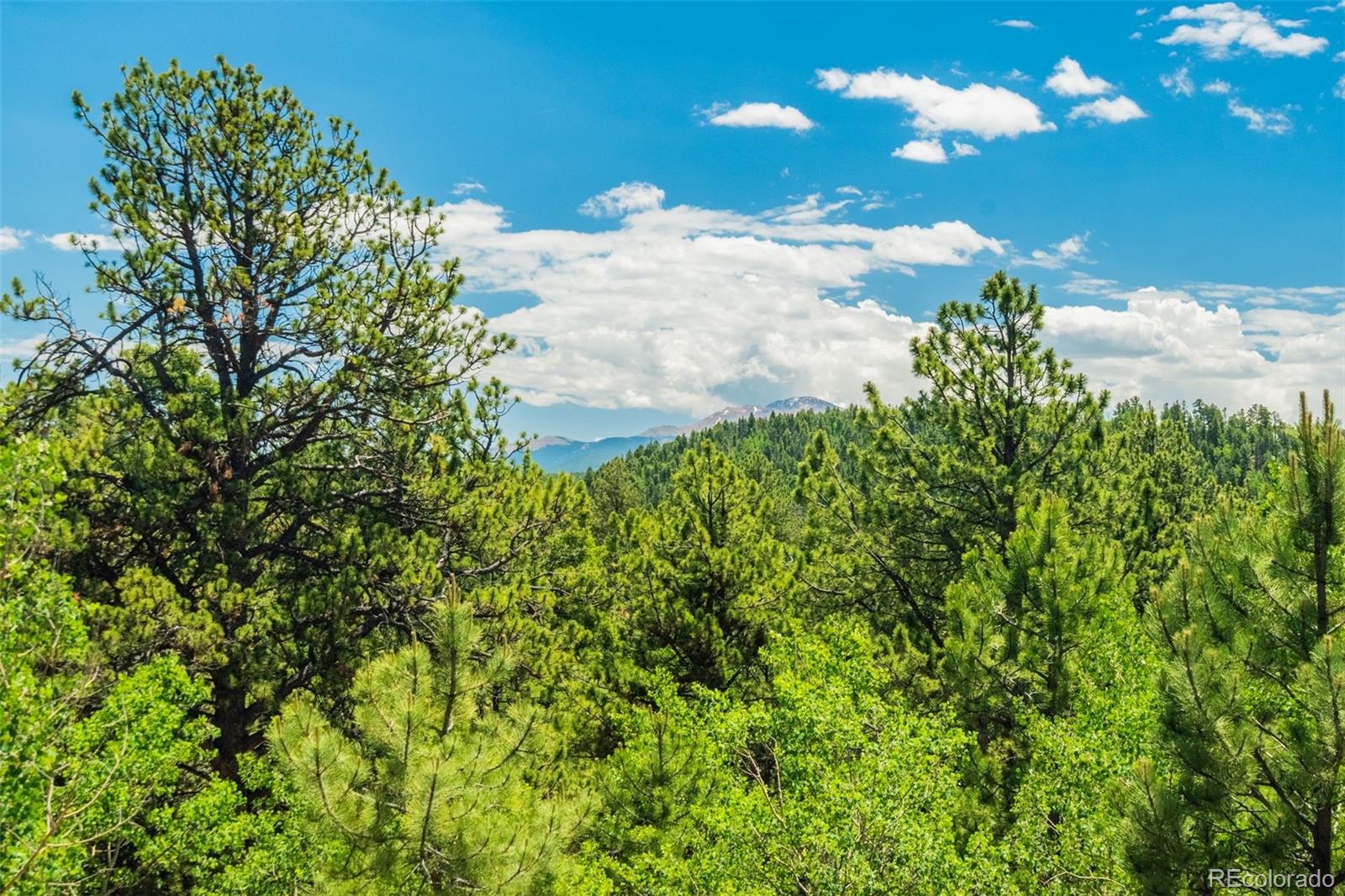 MLS Image #13 for 716  badger trail,florissant, Colorado